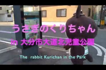 The rabbit Kurichan in the park at oita city. He is cute japanese character.
