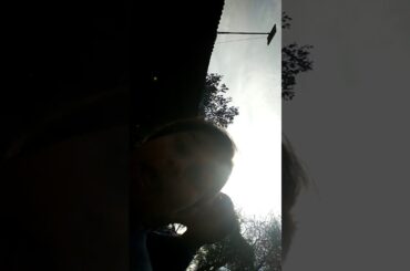 Funny baby bunny rabbit videos