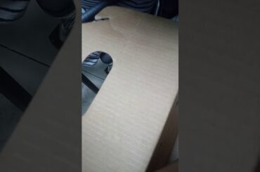 Me and cute bunny big sis a little scared haha