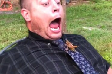 Funniest Animals Scaring People Reactions of 2020 Weekly Compilation 🦗🦗🦗 Cute babies and Pets