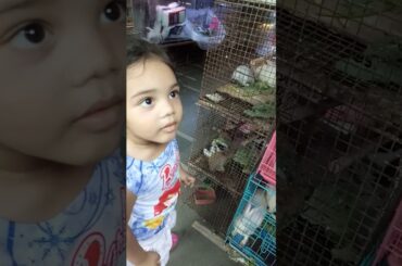 Cute baby loves animal went to buy rabbit