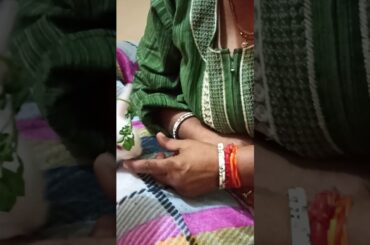 Funny cute bunny activity#####@@@@@ my home