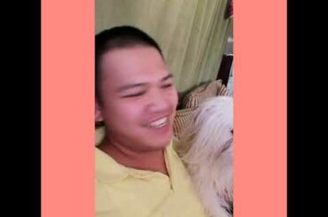 A  very cute dog bunny after shower