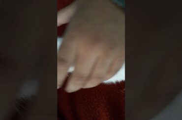 My cute rabbit. Name _ jiya