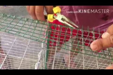 Paano gumawa ng kulungan ng Rabbit