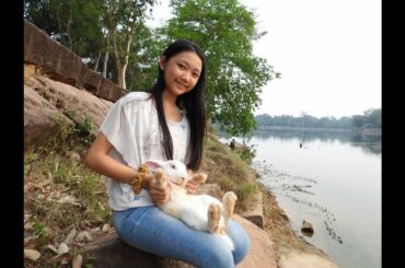 Young girl playing with cute bunny at river near angkor wat temple