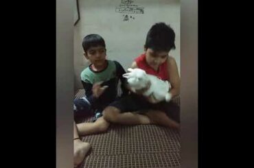 Rabby the cute bunny 🐇♥️🐇♥️🐇