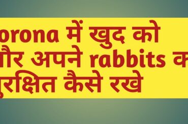 कोरोना में खुद को और अपने rabbits को कैसे सुरक्षित करें | How we will safe our rabbits
