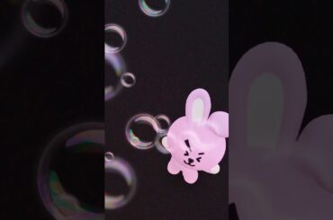 The funny and cute rabbit