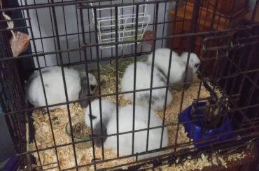 Baby's are cute but messy! #5