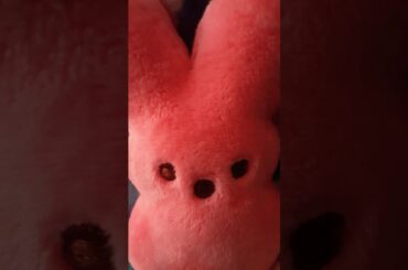 Idk... Cute rabbit I guess!