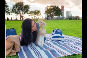 cute bunny videos Is A World Traveler funny rabbit-cute bunny asmr