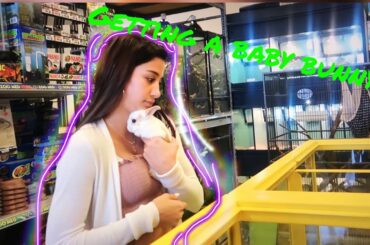 GRWM/ getting a baby bunny