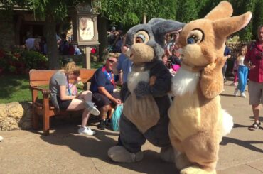 °o° Thumper and Miss Bunny are so cute