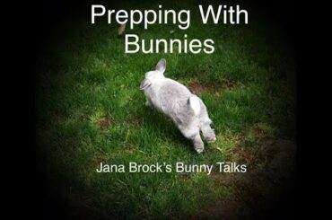 Prepping With Bunnies (Pet Rabbits)