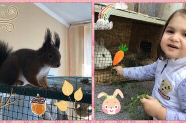 Our Spuirrel🐿 Cip and Natalia Feed the Rabbit 🐇