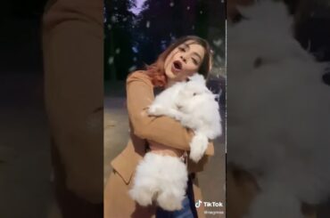 Cutest rabbit you ever seen