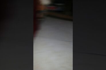 Update on my baby rabbits//Jordan Arias//#bunny #cute