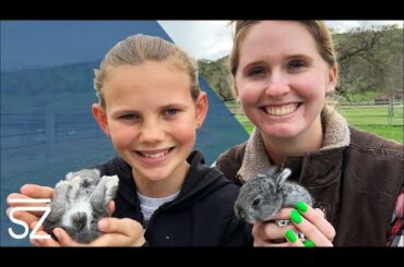 Why Bar SZ Rabbits Eat Their Poop!