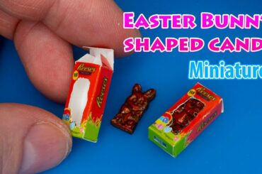How to make Reese's Easter Milk Chocolate Bunny Candy with Box Miniature - Tutorial
