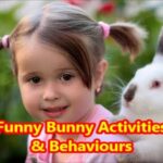 Funny bunny activities and behaviors  @Rabbit Fun Corner #Rabbit Fun Corner