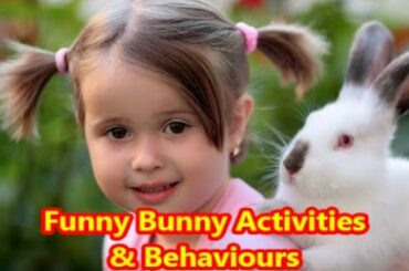 Funny bunny activities and behaviors  @Rabbit Fun Corner #Rabbit Fun Corner