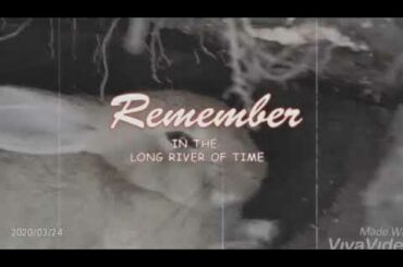 I found them in the hole. Cute little rabbit.