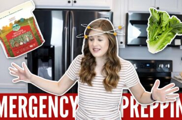 Emergency Prepping For Rabbits 😷