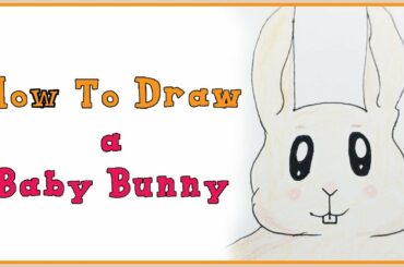 How to Draw a Baby Bunny | Easy | Color Pencils | Markers