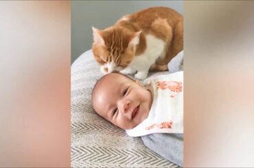 cats vs cute baby - Cute and Funny Baby Animal Videos compilation- 2  #TikTok #cat #baby #cute