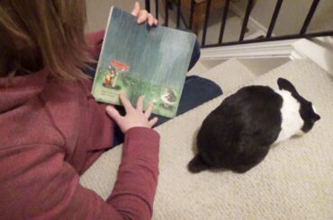 Reading a Bedtime Story with a Rabbit