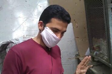 rabbit given birth 1st time