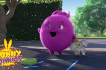SUNNY BUNNIES - Fun in the Playground | Season 4 | Cartoons for Children