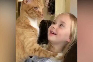 1 Hours Animals "Pets" (Dogs).(Cats).(Rabbit).(Hamster).(Kitten).(Parrot).(Piggy).(Puppy) 26/03/2020