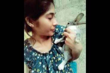 Sri lankan cute rabbit