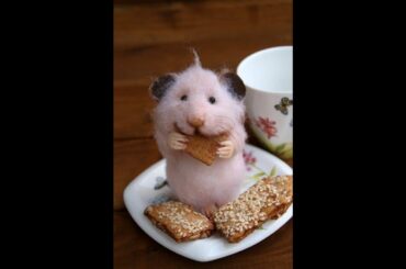 Funny baby Rabbit,cute baby Rabbits compilation videos