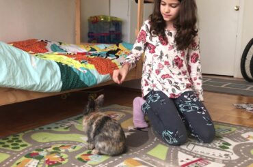 Cute bunny doing T-Rex trick