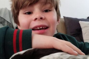 Cute baby bunnies that I really want to stop all of them