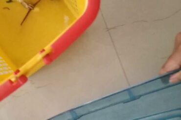 In the memory of My cute rabbit