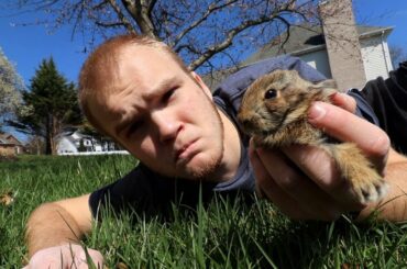 I found an ABANDONED BABY BUNNY!! (baby bunny rescue)