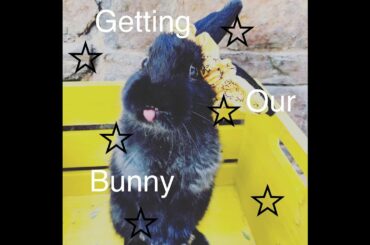 Getting our baby bunny! :)