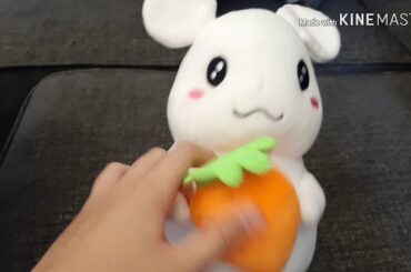Review my friend cute rabbit/bunny