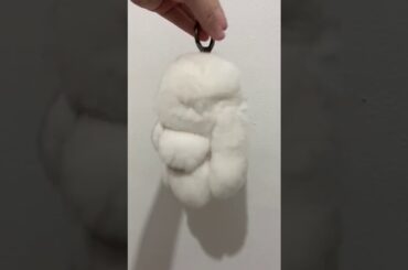 Cute White Copehagen Bunny:)