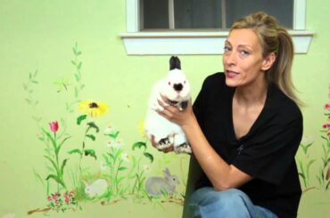 Are Dwarf Rabbits Good Pets? : Rabbit Care