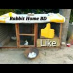 funny baby bunny rabbit videos compilation- cute rabbits|| Rabbit Home BD