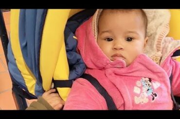 Cute funny baby bunny rabbit in back garden Aberdeenshire