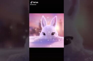 smaaaaaaaaaaaaaaaaaaaaal and cute rabbit watch all my vidios on youtube channel this is my rabbit❤❤❤