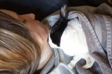 Rabbit Sleeping on Owner and Dreaming about Eating