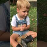 Little Boy Sings Lullaby to Baby Bunny - 1055206-2