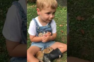 Little Boy Sings Lullaby to Baby Bunny - 1055206-2